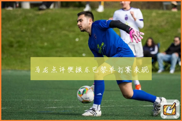 马龙点评樊振东巴黎单打赛表现